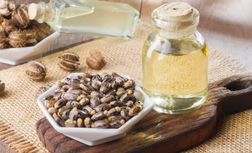 What Are Organic Castor Oil’s Diverse Benefits In Health and beauty care?