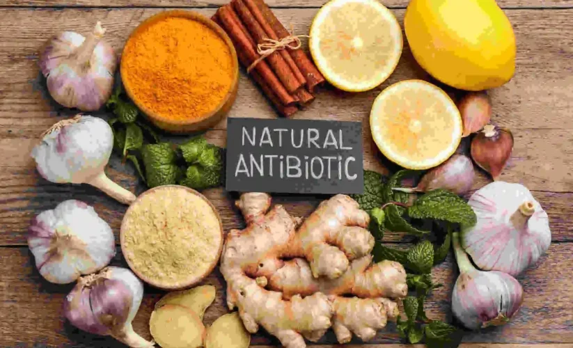 What is The Strongest Natural Antibiotic for Tooth Infection ?
