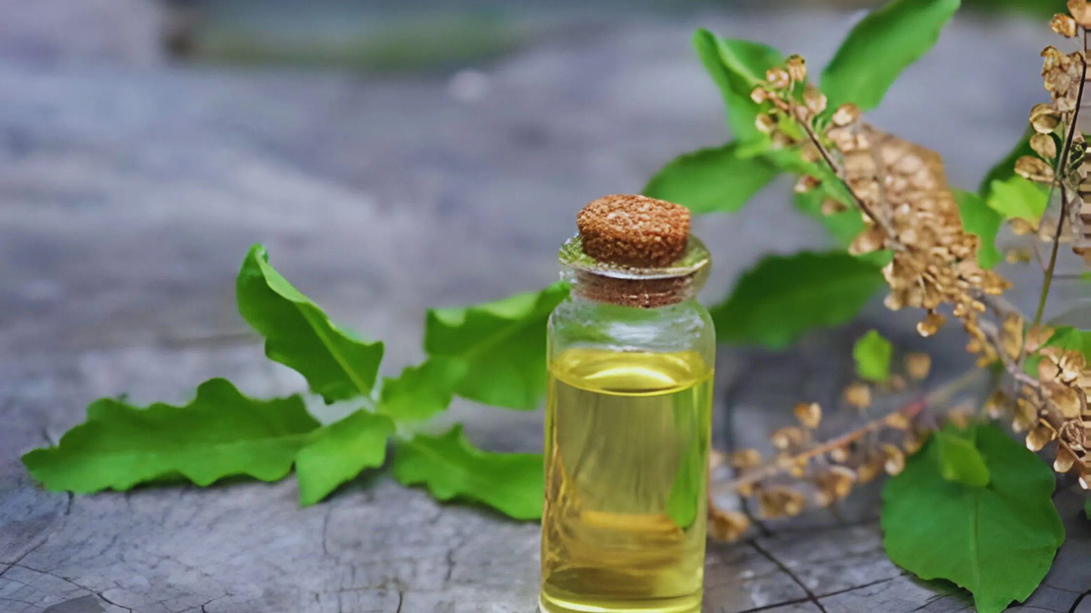 How to Make Oregano Oil With Ease