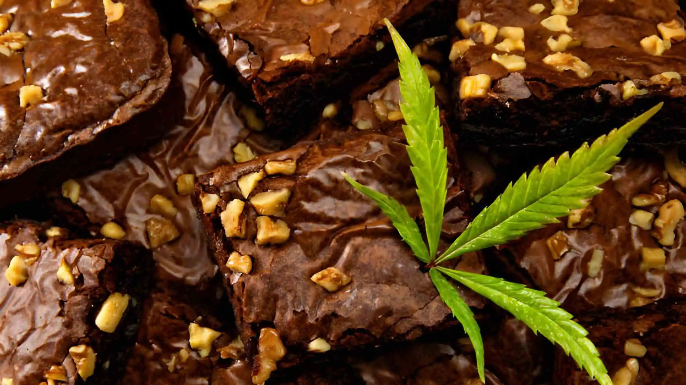 How to Make Weed Brownies?